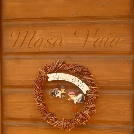 Maso Vaia Bed & Breakfast Cavalese Dış mekan fotoğraf